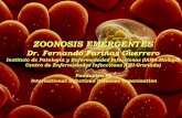 Presentación de PowerPoint - Fundación iofundacionio.org/docs/cursos/tropicales_atencion_primaria_fernando... · Definición de “zoonosis” “Cualquier menoscabo de la salud