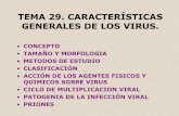 TEMA 29. CARACTERÍSTICAS GENERALES DE LOS … · •TAMAÑO Y MORFOLOGIA •METODOS DE ESTUDIO ... ACCIÓN DE LOS AGENTES FISICOS Y QUIMICOS SOBRE VIRUS. ... virales que se irán