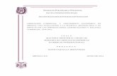 LIBERACIÓN COMERCIAL Y CRECIMIENTO …tesis.ipn.mx/jspui/bitstream/123456789/13282/1/TESIS_EPH (1).pdf · EL COMERCIO INTERNACIONAL Y LA POLÍTICA COMERCIAL. ... Tabla 17: Relación