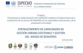 Proyecto: Promoviendo la implementación del … PNUD Azabache.pdf · ff.aa. y policiales legal defensa comunicaciones civil medicina 5.- estandarizar las comunicaciones 1.- sectorización