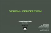VISIÓN - PERCEPCIÓN - Facultad de Arquitectura, … · un mínimo de luz que sensibilice los fotorreceptores un contraste mínimo entre objetos ... Las cualidades físicas de una