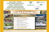 región SIERRA - 10 REASONS TO CHOSE THE …cuyabenolodge.com/national-parks/parque-nacional-podocarpus/parqu… · transición con formaciones vegetales achaparradas únicas. ...
