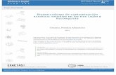 'Biomarcadores de contaminación acuática: estudios en …digital.bl.fcen.uba.ar/download/tesis/tesis_n5070_Ossana.pdf · Cuenca del río Reconquista 21 V. Contaminación ambiental