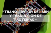 GENÉTICA MOLECULAR “TRANSCRIPCIÓN DEL ARN · ADN ARN PROTEÍNAS Replicación Transcripción Traducción Retrotranscripción Hebra molde Transcripción Traducción Dogma de la