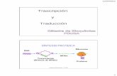 Trascripción y Traducción - Facultad de Odontologia - … · ADN ARN Proteína Trascripción Translación Traducción Cátedra de Bioquímica - FOUBA Célula Eucariótica Cátedra