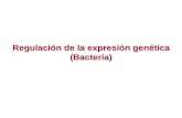 Regulación de la expresión genética (Bacteria)depa.fquim.unam.mx/amyd/archivero/Clase21_21912.pdf · El operón lac es un ejemplo de operón inducible, es decir aquel en el cual