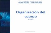 Prof. Carlos Montelara Tirado 1 - quia.com · •El proceso de la ciencia es activo y cambiante a medida que nuevos experimentos añaden ... •Anatomía - ciencia de la estructura
