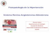 Fisiopatología de la Hipertensión Sistema Renina ...investigacionesfoscal.com.co/archivos/material/6.pdf · Heterogeneidad de Nefronas Sensibilidad a la sal ... Alteraciones funcionales