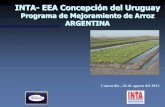 Programa de Mejoramiento de Arroz ARGENTINA - …proarroz.com.ar/static/...programa-mejoramiento-alberto-livore_56.pdfINTA- EEA Concepción del Uruguay Programa de Mejoramiento de