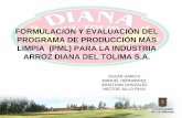 FORMULACIÓN Y EVALUACIÓN DEL PROGRAMA … · Limpia para la industria Arroz Diana del Tolima. ... Mejoramiento del proceso de combustión de cascarilla de arroz para ser utilizado