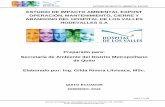 ESTUDIO DE IMPACTO AMBENTAL EXPOST · ESTUDIO DE IMPACTO AMBIENTAL EXPOST Página 2 de 164 Dirección del Hospital: Av. Interoceánica Km 12 ...