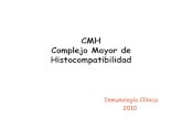 CMH Complejo Mayor de Histocompatibilidad€¦ · DLA perros domésticos FLA gatos domésticos BOLA bovinos NHP primates no humanos RTI ratas SLA cerdo HLA humanos HLA-I HLA-II Rat