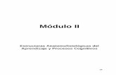 Módulo II - cursos.iplacex.clcursos.iplacex.cl/PERFECCIONAMIENTO/Men 001/L1/M2.pdf · El Sistema Nervioso Central está formado por: • El Encéfalo ... (motora y autónoma) del