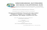 UNIVERSIDAD AUTÓNOMA DE BAJA CALIFORNIA …biblio.uabcs.mx/tesis/te3303.pdf · se reglamenta por la Ley Federal de Responsabilidades Administrativas de ... y sanciones administrativas
