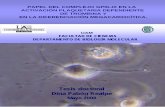 PAPEL DEL COMPLEJO GPIb-IX EN LA ACTIVACIÓN …digital.csic.es/bitstream/10261/41752/1/Pabón_Dina.pdf · facultad de ciencias departamento de biologÍa molecular papel del complejo