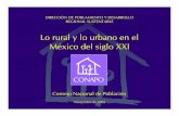 Lo rural y lo urbano en el México del siglo XXI - … · Lo rural y lo urbano en el México del siglo XXI Consejo Nacional de Población Noviembre de 2005. Contenido • Proyecciones