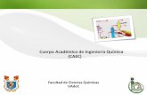 Cuerpo Académico de Ingeniería Química (CAEC) · aprovechamiento en la producción de biodiesel. ... - Dr. Mario Alberto Cruz Hernández ... planta Nueva Rosita, Coah., ...