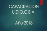CAPACITACION U.D.O.C.B.A. Año 2018a de Orientación para la... · Prevención sobre las Adicciones y el Consumo Indebido de Drogas. ... y la elaboración de estrategias para darles
