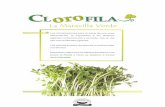 CLOROFILA - actiweb.es · proporcionándole soporte y refuerzo para mejorar su actividad. 1+ Sistema Digestivo: Ayuda a la buena digestión por su gran aporte de enzimas y evita el