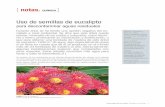 Uso de semillas de eucalipto - Revista Hipótesis - …hipotesis.uniandes.edu.co/hipotesis/images/stories/ed18pdf/... · Universidad de los Andes, Facultad de Ciencias 11 Nelson Giovanny