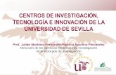 Sin título de diapositiva - investigacion.us.esinvestigacion.us.es/docs/web/files/presentacion_web_2013.pdf · La práctica totalidad de los Grupos de Investigación científico-técnicos