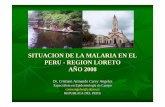 SITUACION DE LA MALARIA EN EL PERU - dndi.org · putumayo (1280 km. de frontera y ... carretera yurim - tpto iquitos ... iquitos jeberos soplin pampahermosa torres causana