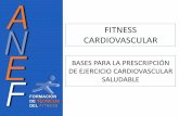 BASES DEL ENTRENAMIENTO PARA LA SALUD - …cpatermi.com/resources/BASES+PARA+LA+PROGRAMACI$C3$93N+D… · INTRODUCCIÓN • Entendemos por ejercicio cardiovascular aquel conjunto