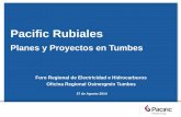 Presentación de PowerPoint - Osinergmin€¦ · Hidrocarburos (SPH) Abril Octubre Diciembre Principales hitos de Pacific en el Perú (2013 en adelante) Marzo ... •Elaboración