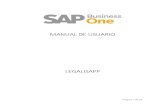 Manual de Usuario LegaliSAPP - DocHub · MANUAL DE USUARIO LEGALISAPP ... se puede añadir un soporte (imagen) . Desde SAP Business One el usuario puede revisar ... la moneda al campo
