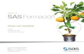 2013 SASFormación - sas.com · SAS para que el análisis avanzado y el big data sean la clave para transformar sus ... sesiones de preguntas y respuestas, y ... SAS® Enterprise