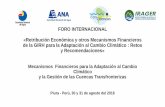 FORO INTERNACIONAL «Retribución Económica y … · ... Retos y Recomendaciones» Mecanismos Financieros para la Adaptación al Cambio Climático ... - Sistema de financiación