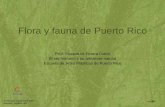 Flora y fauna de Puerto Rico - CITA | Misióncita.eap.edu/.../Ser_Humano_y_su_ambiente/FloraYFaunaREV.pdfFlora y fauna de Puerto Rico • Susana M. Rivera Colón Flora Hongos • Los