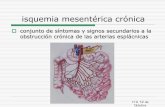 isquemia mesentérica crónica · H U 12 de Octubre isquemia mesentérica crónica conjunto de síntomas y signos secundarios a la obstrucción crónica de las arterias esplácnicas