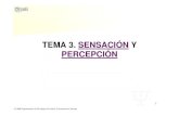 TEMA 3. SENSACIÓN Y PERCEPCIÓN -  · 2007-02-04 · Definición y concepto. 2. Características y funciones. 3. Los sentidos. 4. ... • Tono: longitud. ... • Leyes gestálticas