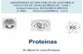Proteínas - Bioquímica-2°Año USAC Guatemala | Temas de ... · albúmina o la mioglobina solo hasta este nivel pueden llegar porque están formadas por una sola cadena peptídica.