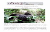Gorilas en la niebla especial navidad - Cloud Object … · Acabar después de un viaje intenso en el paraíso, en la preciosa isla de Zanzibar en ... los volcanes habitados por gorilas,