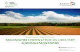 SMART ENERGY CONCEPTS CHILE ESCENARIO … · AChEE – Agencia Chilena de Eficiencia Energética ... motivando establecer un entorno de cultura de eficiencia energética. Asociado