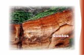 Suelos - apps1.semarnat.gob.mxapps1.semarnat.gob.mx/dgeia/informe_resumen/pdf/3_info_resumen.pdf · Como parte del Inventario Nacional Forestal y de Suelos, se realizó un estudio