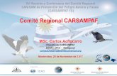 Comité Regional CARSAMPAF - icao.int Presentac… · Firma de Acuerdo Marco por 5 años con la Universidad Católica Nuestra Señora de la Asunción, Paraguay(UCA) ... e Infraestructura
