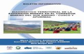 DIAGNÓSTICO TERRITORIAL DE LA EXPANSIÓN …cooperaccion.org.pe/wp-content/uploads/2015/07/Diagnostico... · nacionales y locales que busca promover el desarrollo sostenible y la