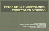 RETOS DE LA PLANIFICACIÓN FORESTAL EN …asmadera.com/wp-content/uploads/2014/11/retosplanforestal.pdf · - Ordenación Territorial (Planes de Ordenación de los Recursos Forestales,