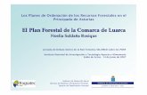 El Plan Forestal de la Comarca de Luarca - inia.es · 1 Los Planes de Ordenación de los Recursos Forestales en el Principado de Asturias El Plan Forestal de la Comarca de Luarca