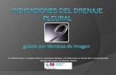 M. Sánchez Pérez, P. Gallego Gómez, E. Domínguez …seram2010.seram.es/.../files/indicaciones_del_drenaje_pleuralpdf.pdf · problema clínico muy frecuente, con una mortalidad