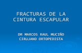 Fracturas de la cintura escapularmatusalemmetea.tripod.com/.../sitebuilderfiles/escapular.… · PPT file · Web view2005-01-27 · FRACTURAS DE LA CINTURA ESCAPULAR DR MARCOS ...