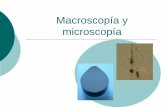 Macroscopía y microscopía - Panel de Estado - … · MACROSCOPÍA: observación de un área grande de la superficie, o secciones específicas de una muestra o pieza a simple vista