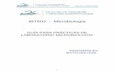 IBT502 - Microbiología · Ingeniería en Biotecnología 1 IBT502 - Microbiología GUÍA PARA PRÁCTICAS DE LABORATORIO MICROBIOLOGÍA INGENIERÍA EN BIOTECNOLOGÍA