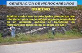 GENERACIÓN DE HIDROCARBUROS OBJETIVOusuarios.geofisica.unam.mx/gvazquez/geoquimpetrolFI/zonadesplegar... · interesantes para la formación de petróleo, ... Uno de los principales