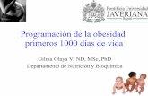 Programación de la obesidad primeros 1000 días de vidaangelicalozano.com/.../2015/...Obesidad-en-los-primeros-1000-dias.pdf · Obesidad en la infancia un problema de salud creciente