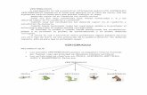 VERTEBRADOS - Departamento Ciencias de …ciencias.sanvalero.net/ficheros/171208100441.pdf · Di si son vertebrados o invertebrados y a qué grupo pertenece cada uno de los animales