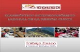 MINISTERIO DE TRABAJO Y PROMOCIÓN DEL …drtpe.regioncusco.gob.pe/.../2016/08/Diagnostico-Socioeconomico.pdf · trabajo en la ciudad de Cusco en empresas formales privadas de 10